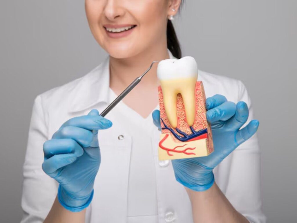 Dental Implant Clinic Lower Hutt